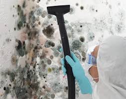 Mold Documentation for Insurance Claims in Lakewood Ranch, FL